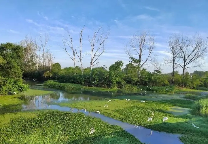 加強(qiáng)生態(tài)環(huán)境保護(hù)全面推進(jìn)美麗中國建設(shè)（人民日報）