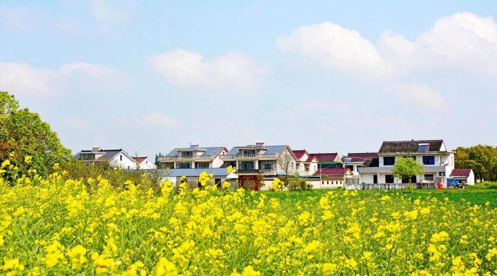 河南焦作市發文推進農村人居環境整治、農村污水治理、黑臭水體治理